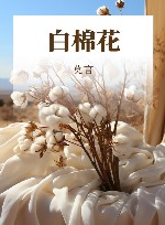 白棉花 封面