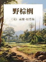 野棕榈 封面