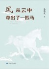 风 从云中牵出了一匹马 封面