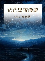 茫茫黑夜漫游 封面