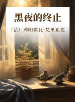 黑夜的终止 封面