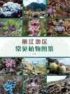 丽江地区常见植物图鉴  下 封面