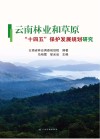 云南林业和草原“十四五”保护发展规划研究 封面