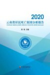 云南省居民死亡原因分析报告  2020 封面