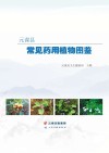元谋县常见药用植物图鉴 封面