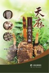 天麻  云南乌天麻 封面