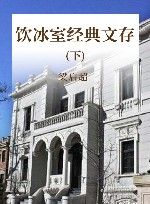 饮冰室经典文存  下 封面