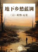 地下乡愁蓝调 封面