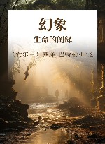 幻象  生命的阐释 封面