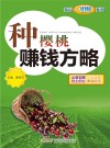 种樱桃赚钱方略 封面