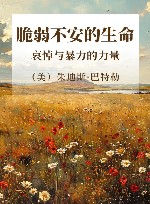 脆弱不安的生命  哀悼与暴力的力量 封面