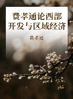 费孝通论西部开发与区域经济 封面