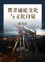 费孝通论文化与文化自觉  第2版 封面