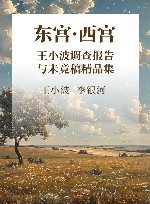 东宫·西宫  王小波调查报告与未竟稿精品集 封面