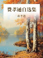 费孝通自选集 封面