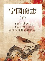 宁国府志  下 封面