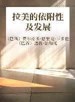 拉美的依附性及发展 封面