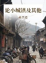 论小城镇及其他 封面