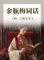 金瓶梅词话 封面