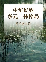 中华民族多元一体格局 封面