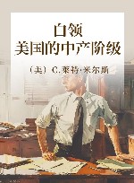 白领  美国的中产阶级 封面