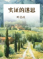 实证的迷思 封面