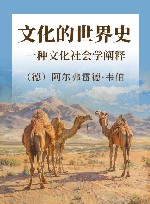 文化的世界史  一种文化社会学阐释 封面