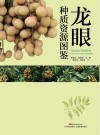 龙眼种质资源图鉴 封面