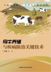母牛养殖与疾病防治关键技术 封面