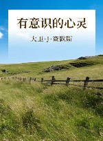 有意识的心灵 封面