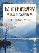 马克思主义研究译丛  民主化的进程  典藏版 封面