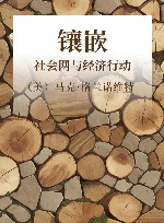 镶嵌  社会网与经济行动 封面