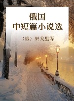 俄国中短篇小说选 封面