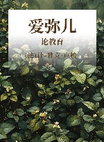 爱弥儿  论教育 封面