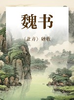 魏书 电子书封面