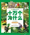 中国孩子爱问的十万个为什么  昆虫和蜘蛛  注音美绘版 封面