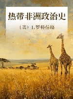 热带非洲政治史 封面
