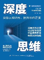 心理学与脑力思维书系  深度思维 封面