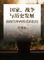 国家、战争与历史发展  前现代中西模式的比较 封面