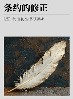 条约的修正 封面