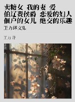 王力译文集 7 封面