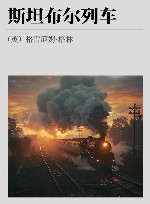 斯坦布尔列车 封面