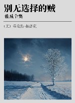 雅贼全集  别无选择的贼 封面
