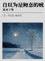 雅贼全集  自以为是鲍嘉的贼 封面