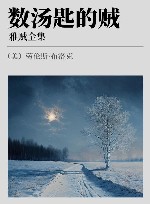 雅贼全集  数汤匙的贼 封面