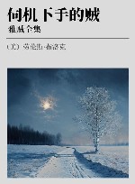 雅贼全集  伺机下手的贼 封面