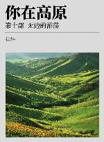 你在高原  第10部  无边的游荡 封面