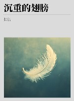 沉重的翅膀  第2版 封面