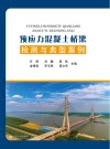 预应力混凝土桥梁检测与典型案例 封面