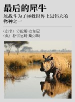 最后的犀牛  这场战斗为了拯救世界上最伟大的物种之一 封面
